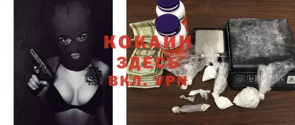 2c-b Каменка