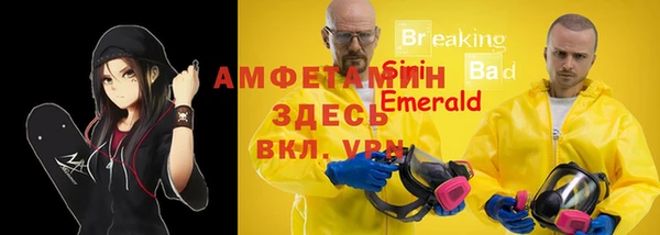 2c-b Каменка