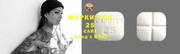 2c-b Каменка