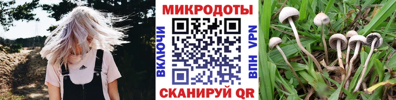 Купить закладки  Семикаракорск  Галлюциногенные грибы Magic Shrooms 